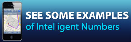 Examples of Intelligent Numbers